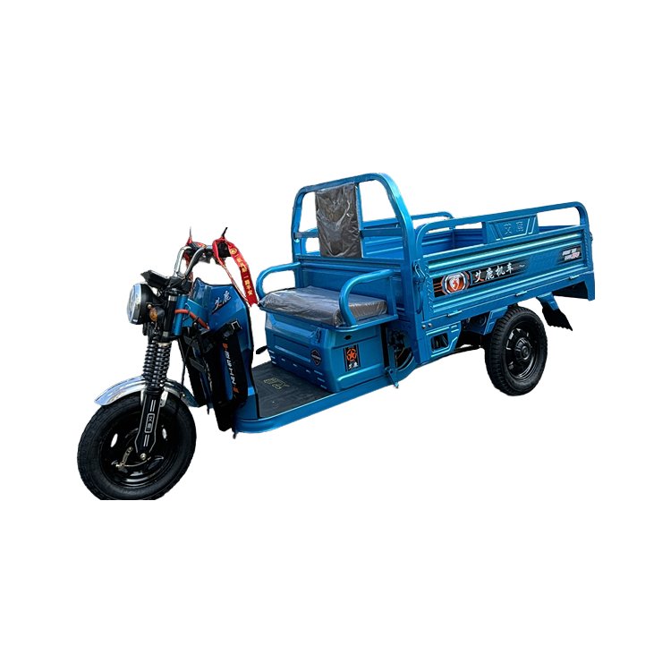 Manufacturer Supply Electric Tricycle Open-Body Type 1000W Motorized Passenger Vehicle With 48V Battery Steel Material